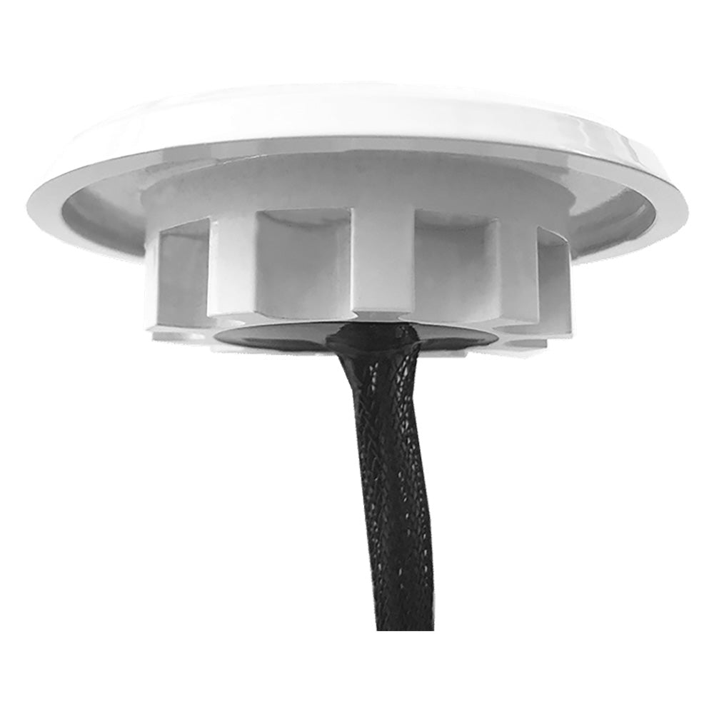 Shadow-Caster Downlight - White Housing - Warm White